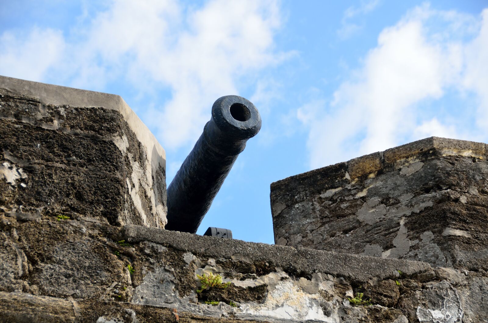 Nikon D7000 sample photo. Cannon, fortress, castle photography