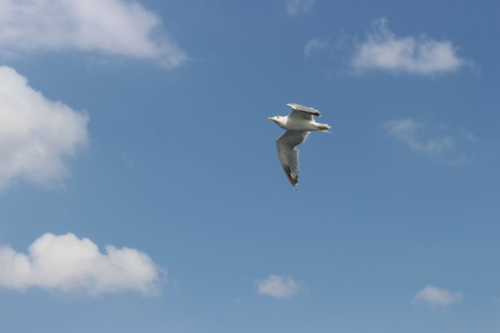 Canon EOS 700D (EOS Rebel T5i / EOS Kiss X7i) sample photo. Sky, clouds, nature photography