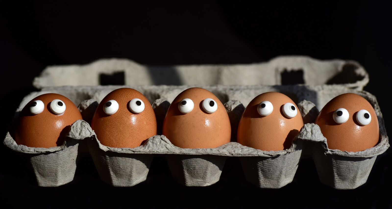 Nikon D750 sample photo. Egg, egg box, egg photography