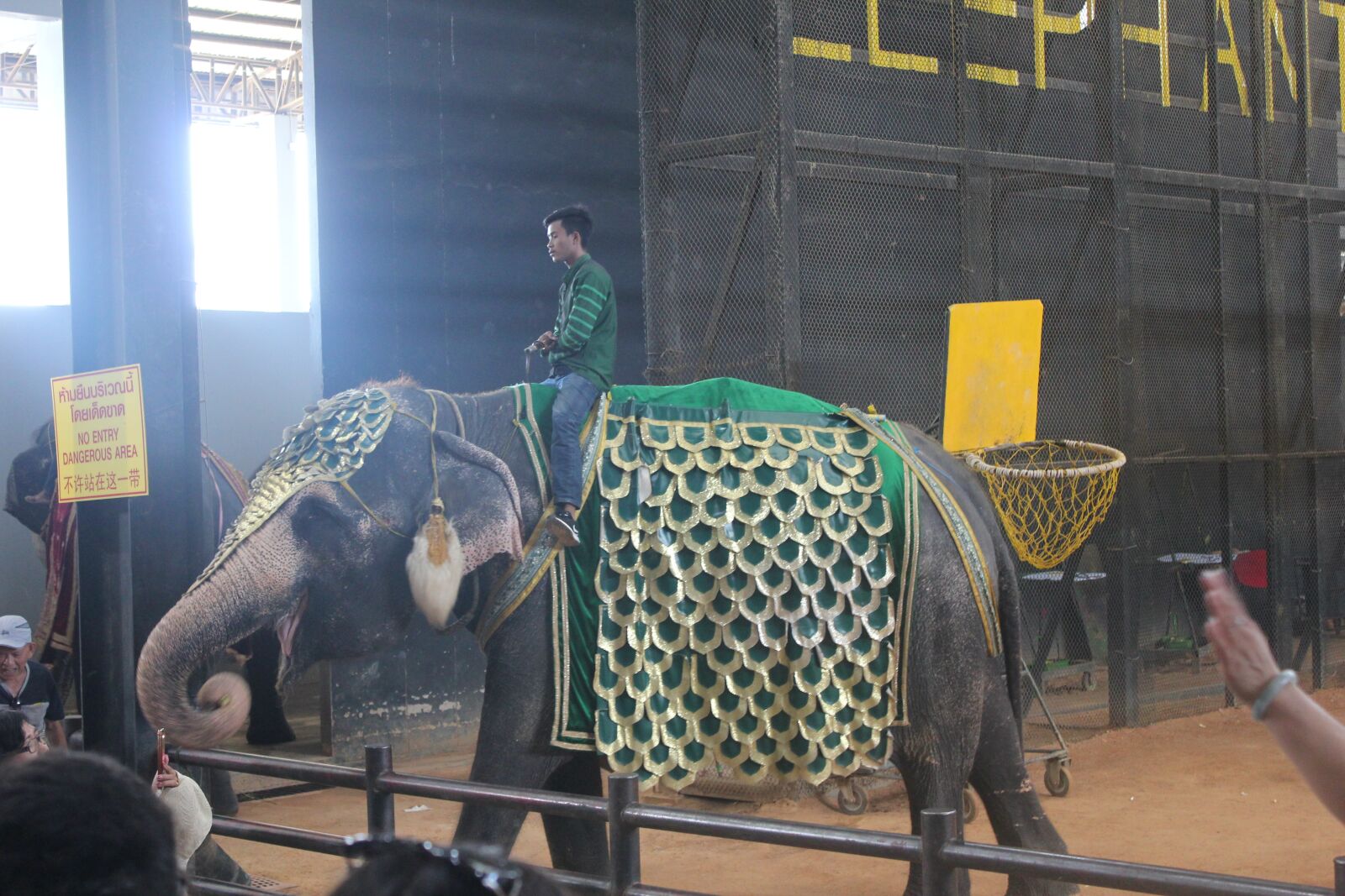 Canon EOS 550D (EOS Rebel T2i / EOS Kiss X4) sample photo. Wonderfull, elephant, thailand photography