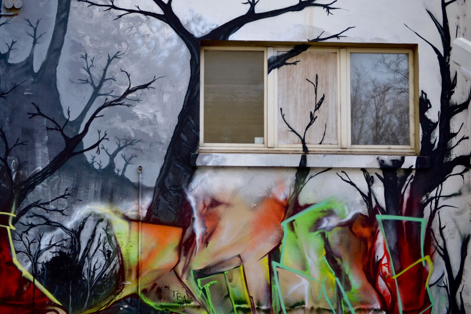 Nikon D3100 sample photo. Art, forest, streetart, tag photography