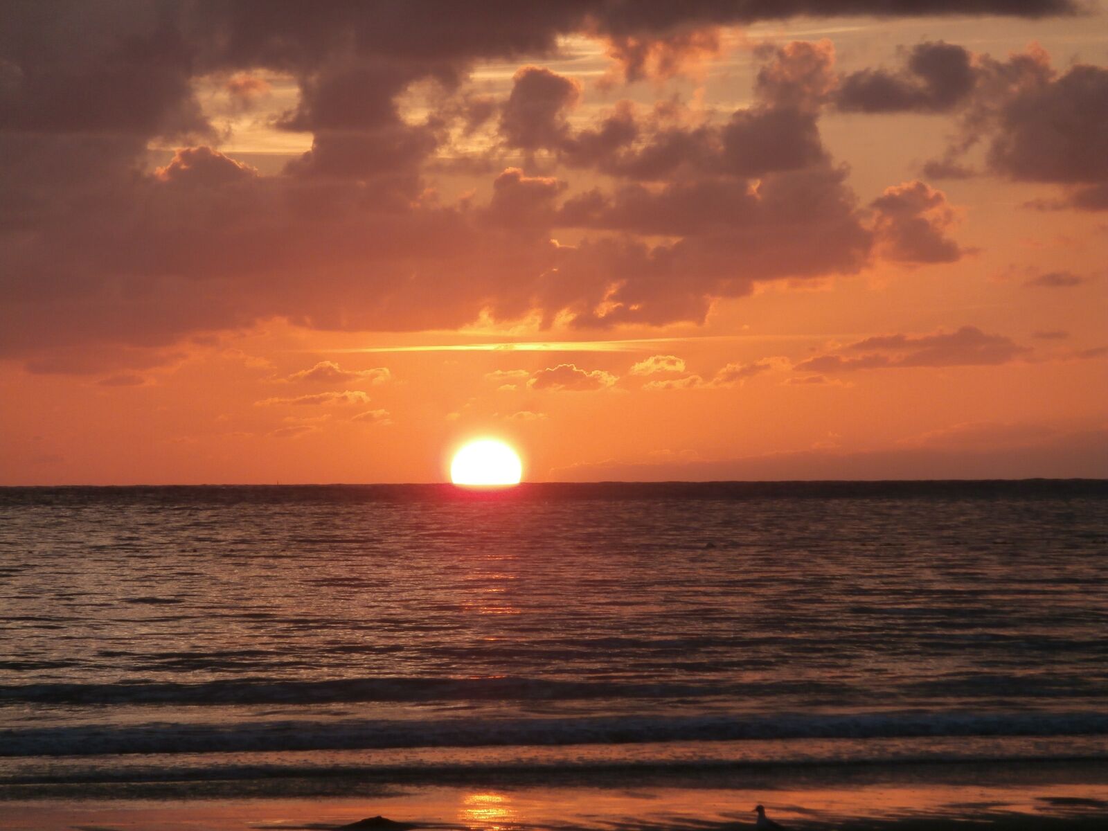 Olympus VR340,D750 sample photo. Sunset, sun, sea photography
