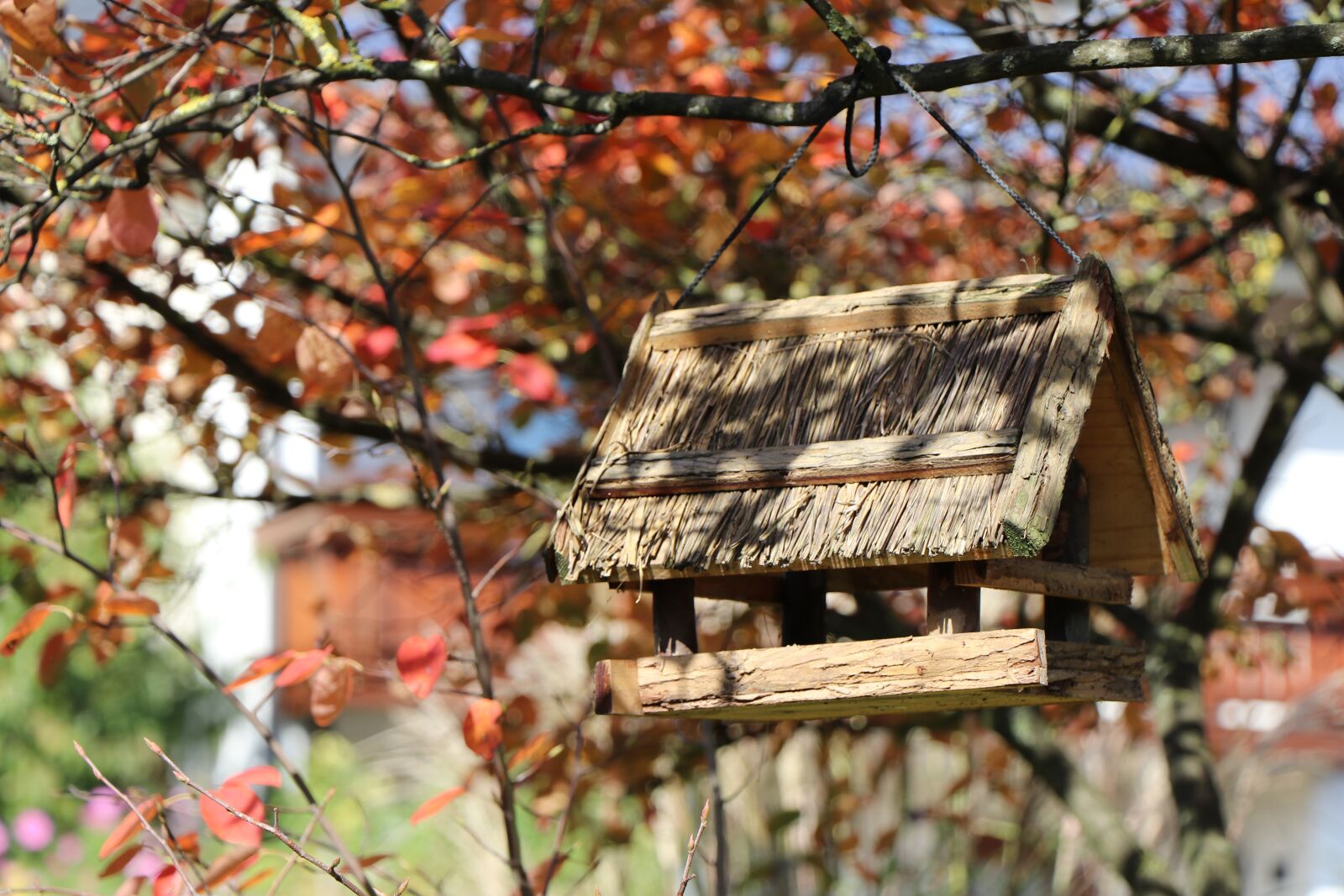 Canon EF-S 18-135mm F3.5-5.6 IS USM sample photo. Autumn, leaves, aviary photography