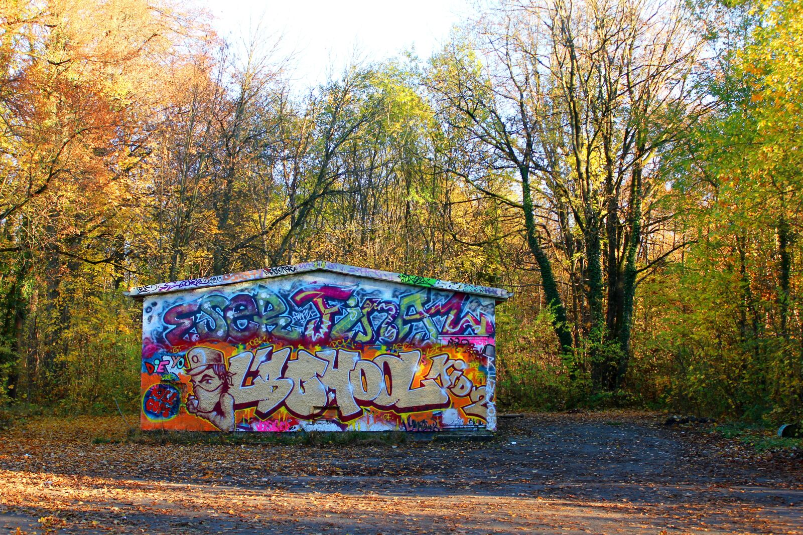 Canon EOS 550D (EOS Rebel T2i / EOS Kiss X4) sample photo. Park, graffiti, urban photography