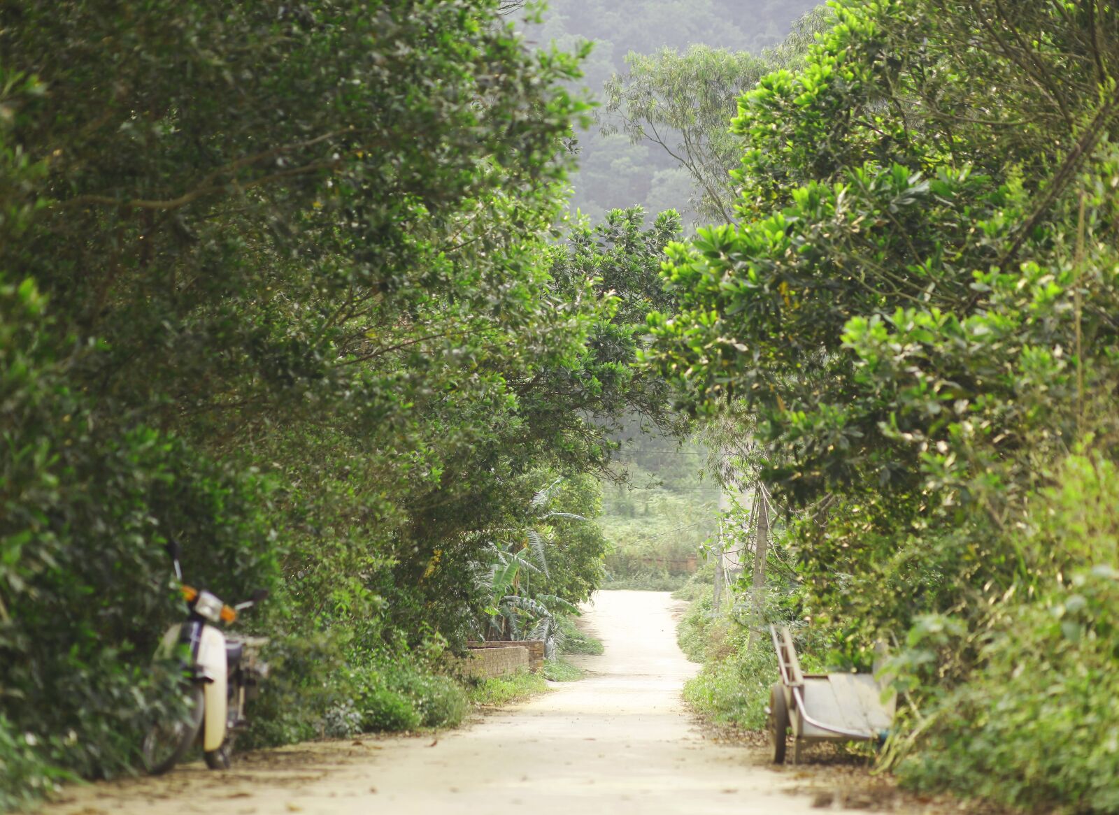 Canon EOS 5D Mark II sample photo. Motobikes, countryside, road photography