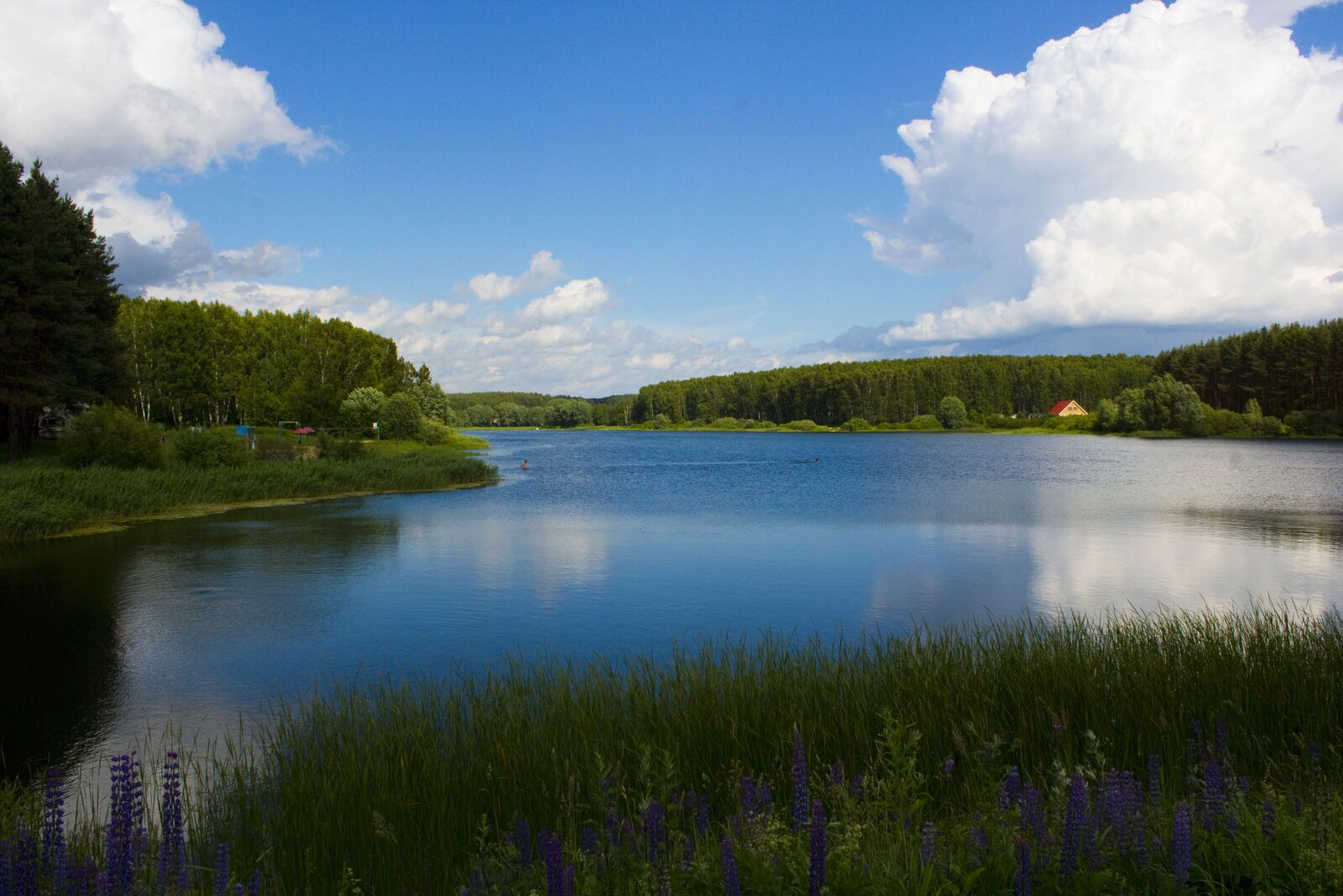Canon EOS 1300D (EOS Rebel T6 / EOS Kiss X80) sample photo. Lake, russia, house photography