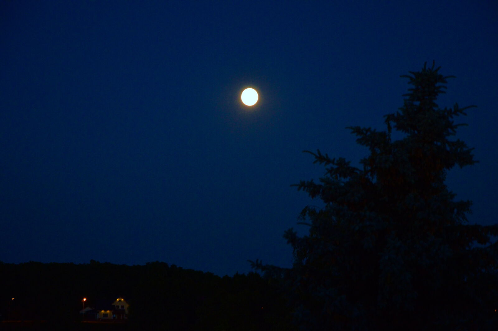 Nikon D3200 sample photo. Moon, night, tree photography