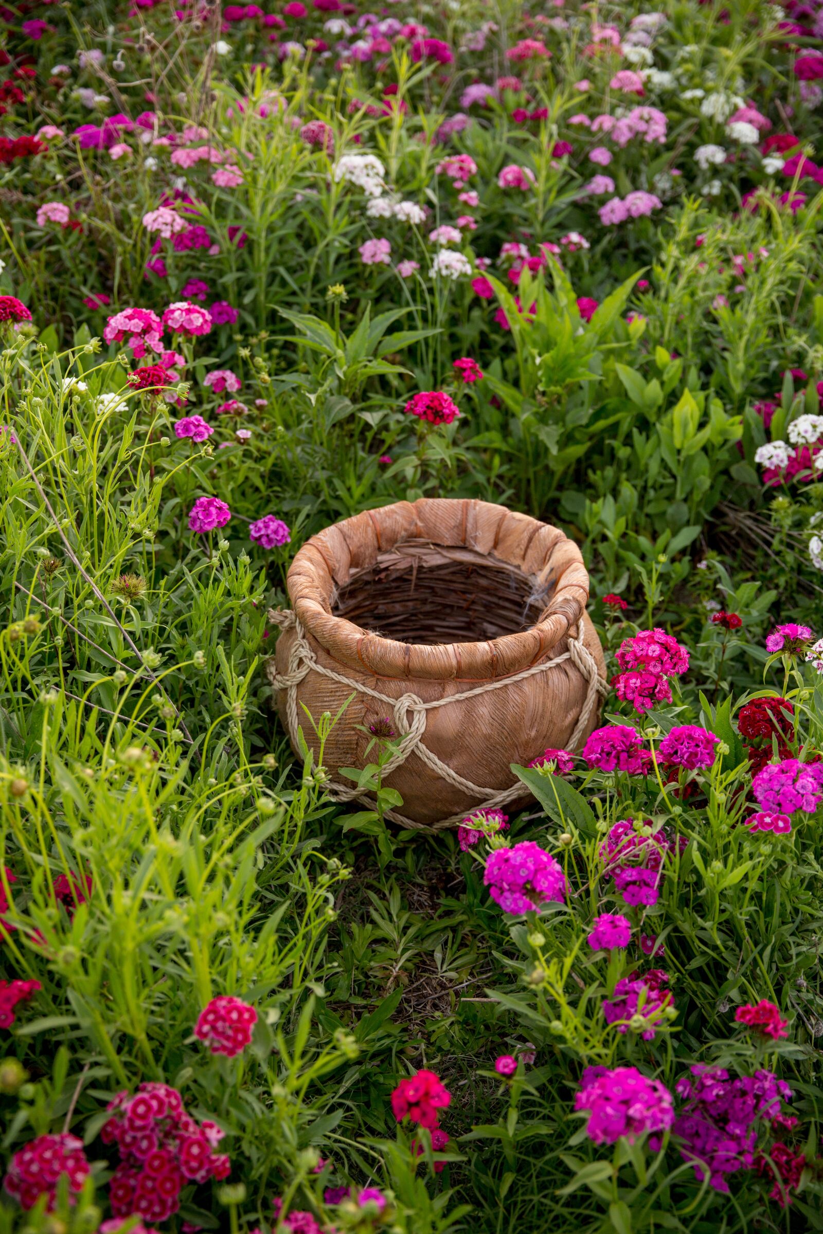 Canon EF 24-70mm F2.8L II USM sample photo. Flower field, bucket, baby photography