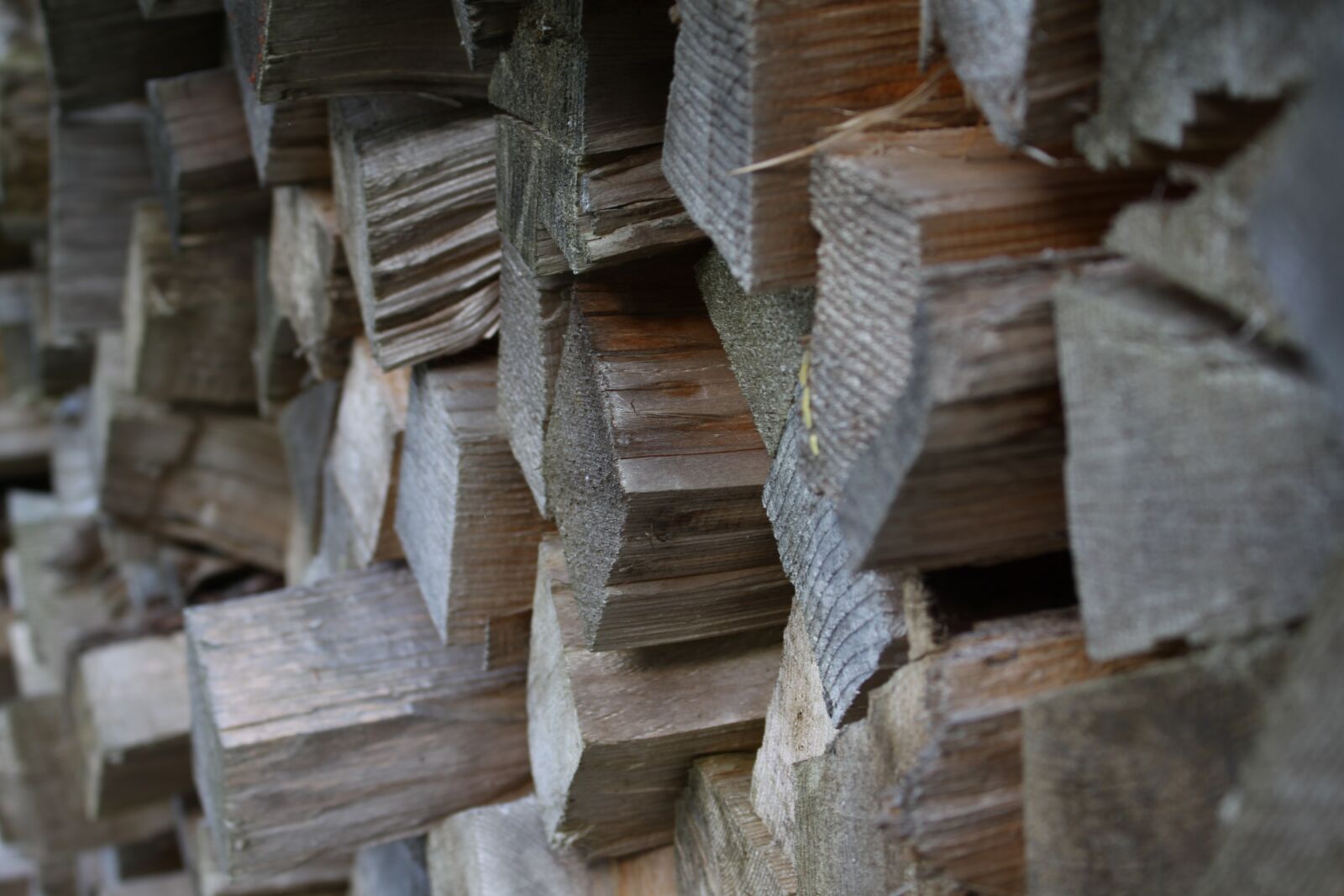 Canon EOS 50D sample photo. Wood, firewood, tree trunks photography