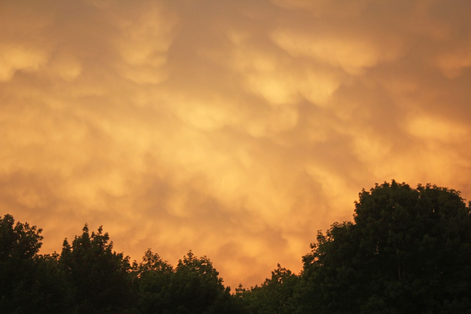 Canon EOS 1200D (EOS Rebel T5 / EOS Kiss X70 / EOS Hi) sample photo. Yellow, clouds, cloudscape photography