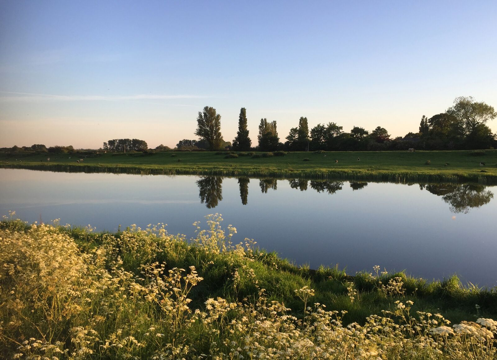 Apple iPhone 6 sample photo. Still river, tranquil, river photography