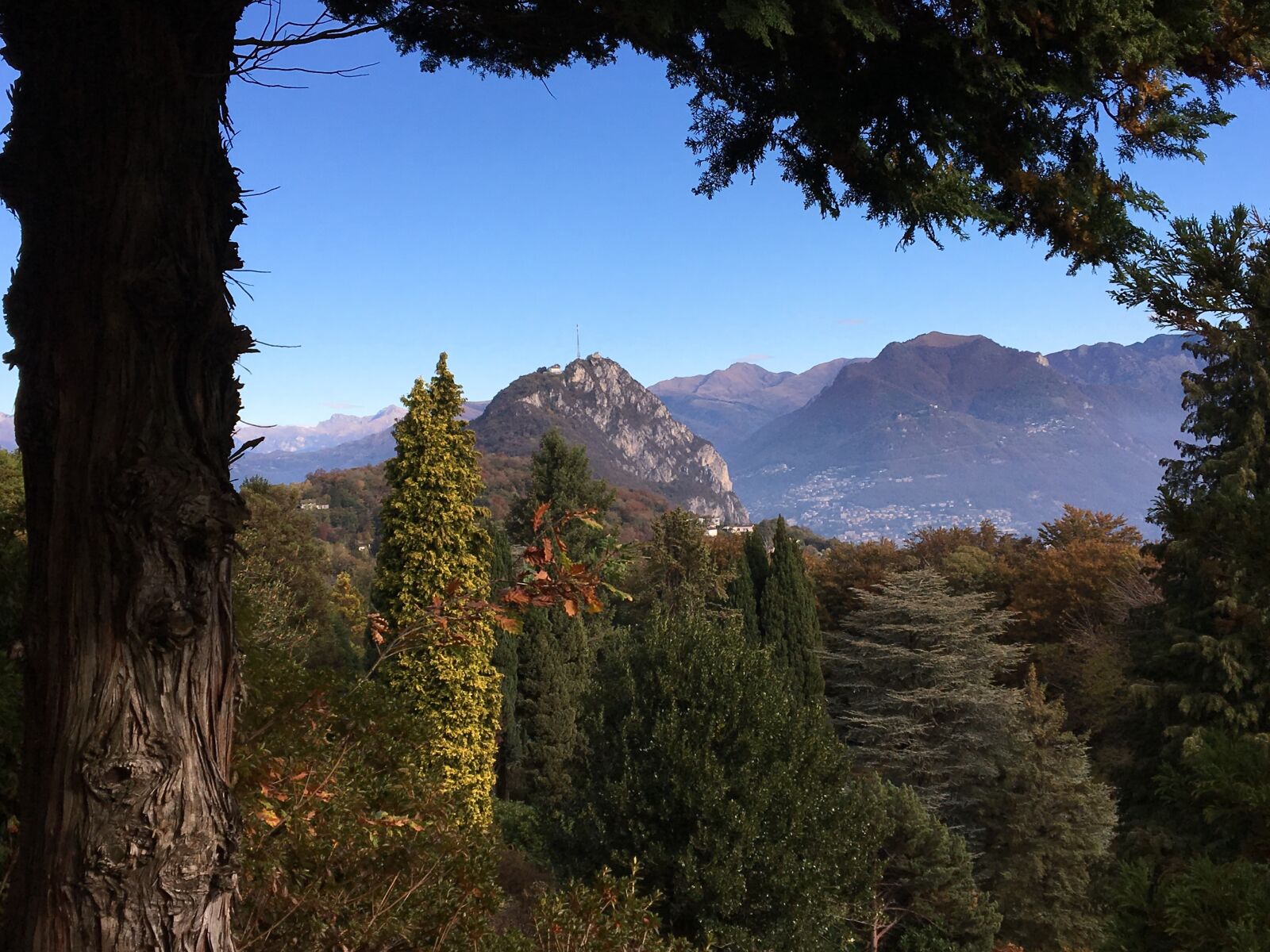 Apple iPhone 6s sample photo. View, tree, panorama photography