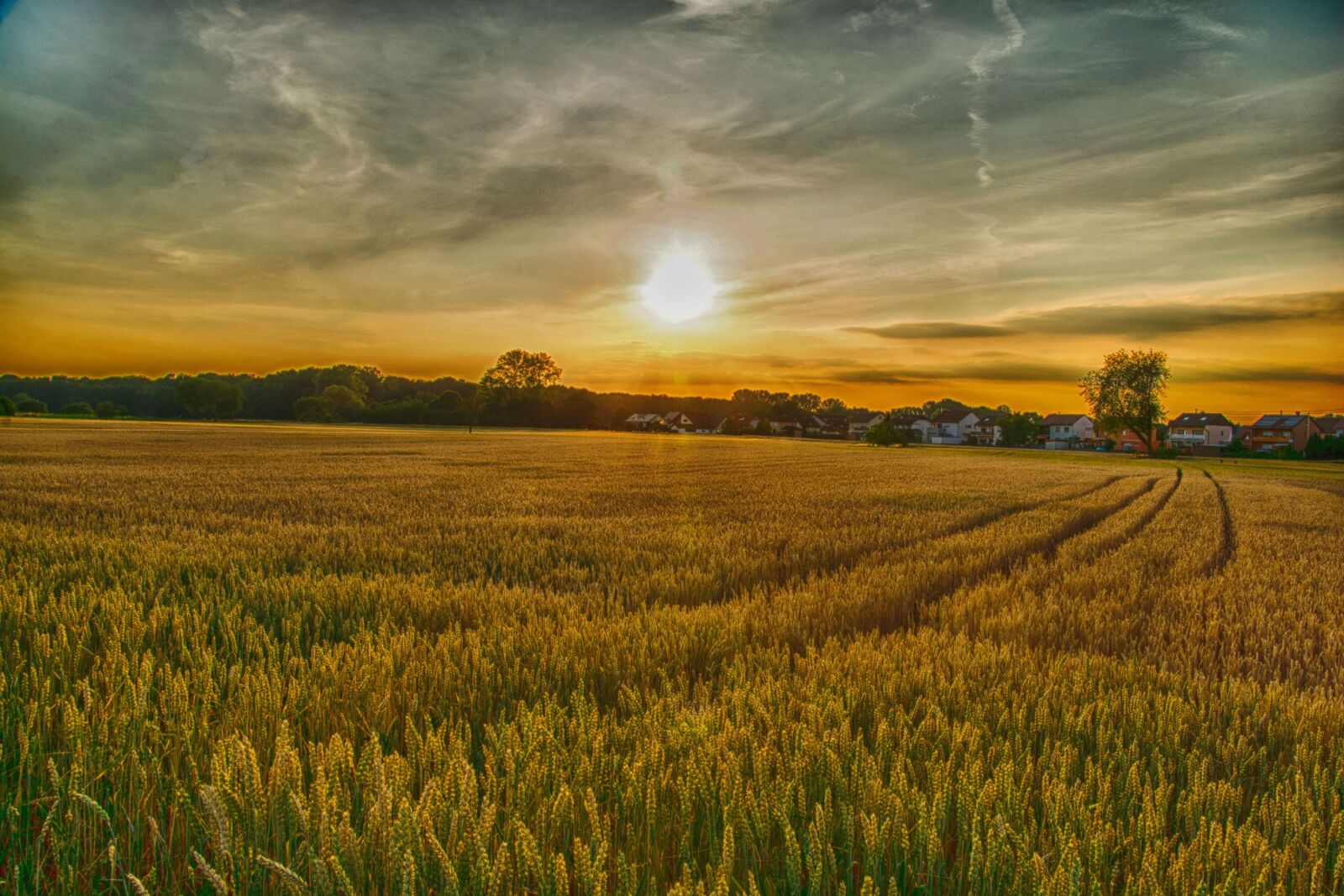 Nikon D7100 sample photo. Field, agriculture, farm photography