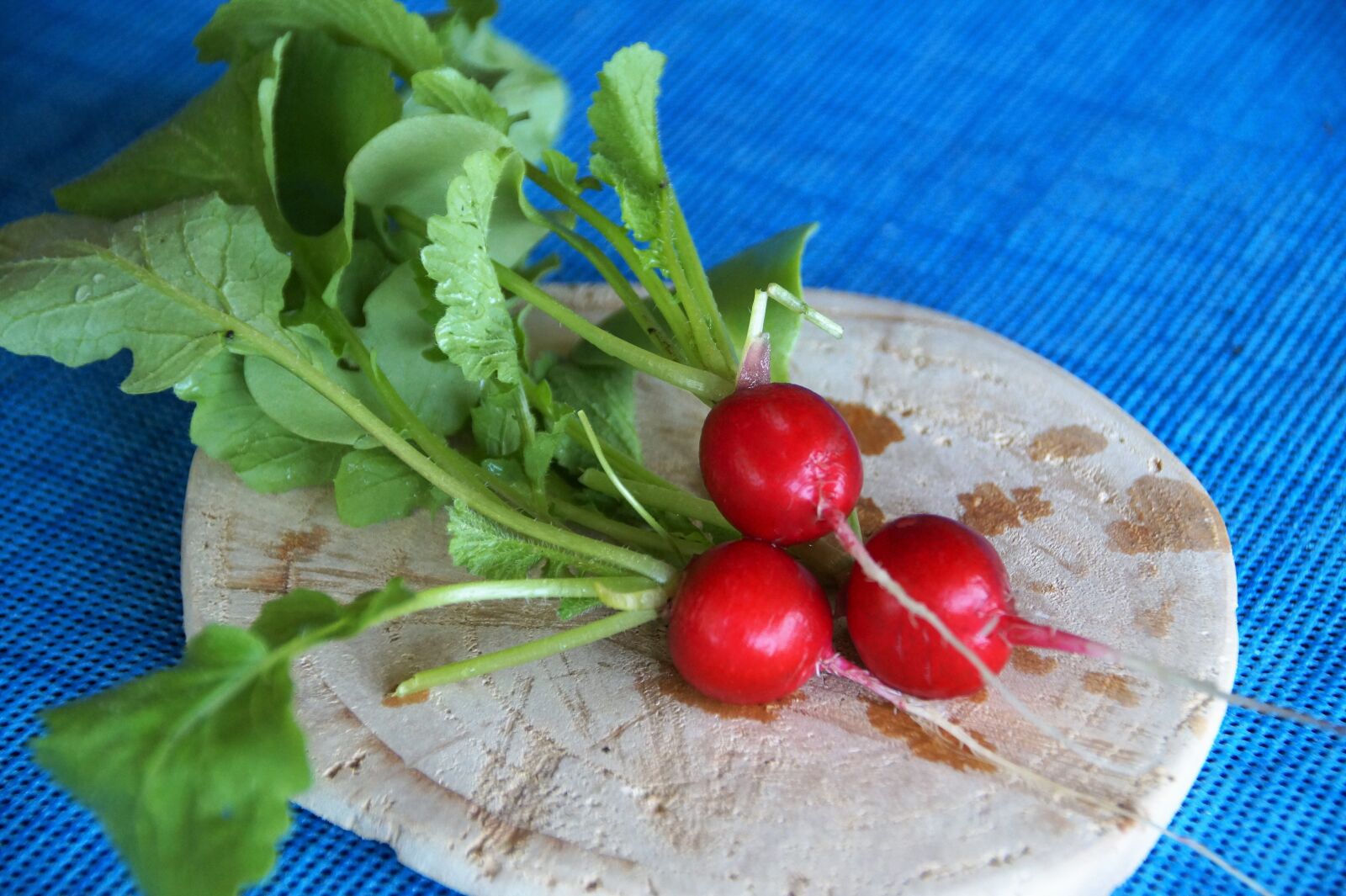 Sony SLT-A58 sample photo. Radishes, fresh, torn off photography
