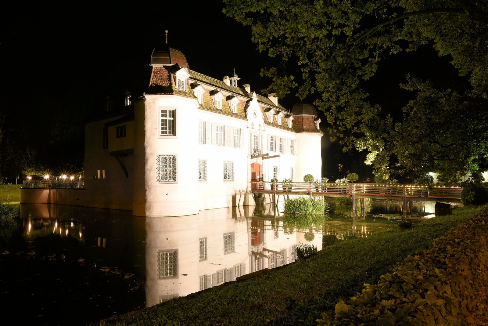 Nikon D750 sample photo. Bottmingen, castle, basel photography