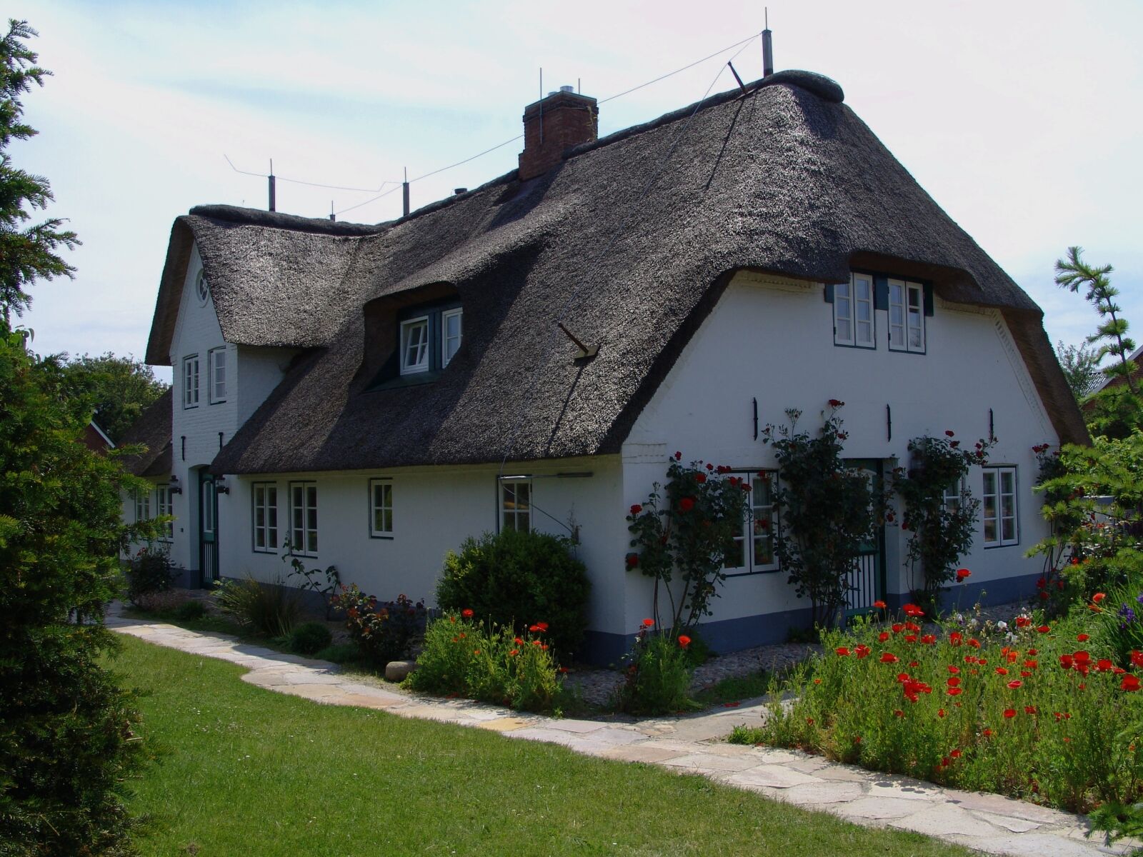 Sony DSC-F828 sample photo. Friesenhaus, thatched roof, f photography