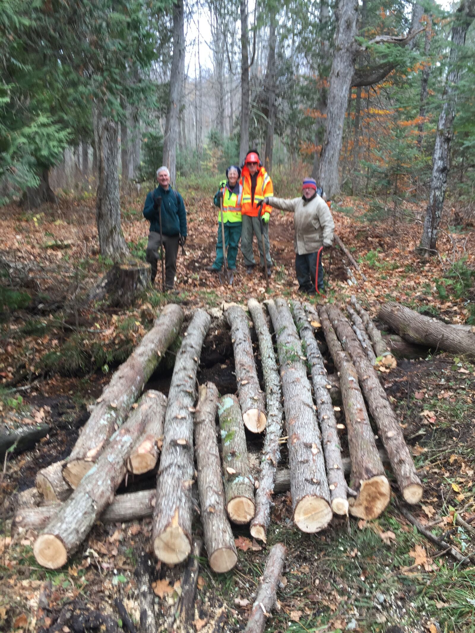 iPhone 6 Plus back camera 4.15mm f/2.2 sample photo. Logs, bridge, trails photography