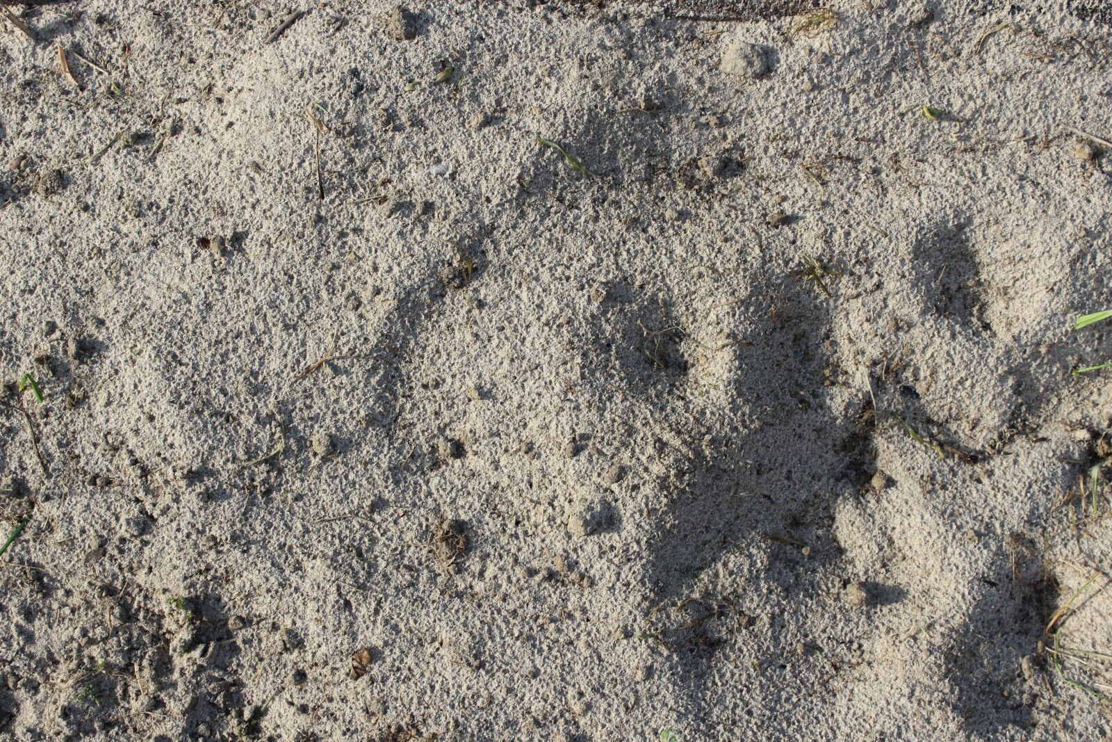 Canon EOS 600D (Rebel EOS T3i / EOS Kiss X5) sample photo. Sand, sandy soil, soil photography