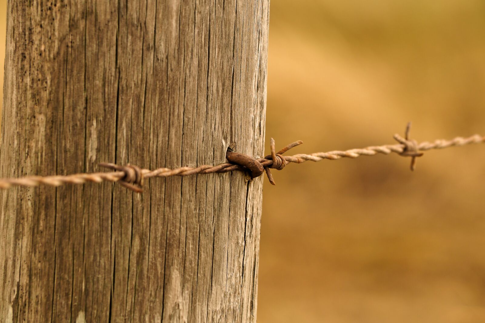 Olympus OM-D E-M10 sample photo. Fence, wood fence, wood photography