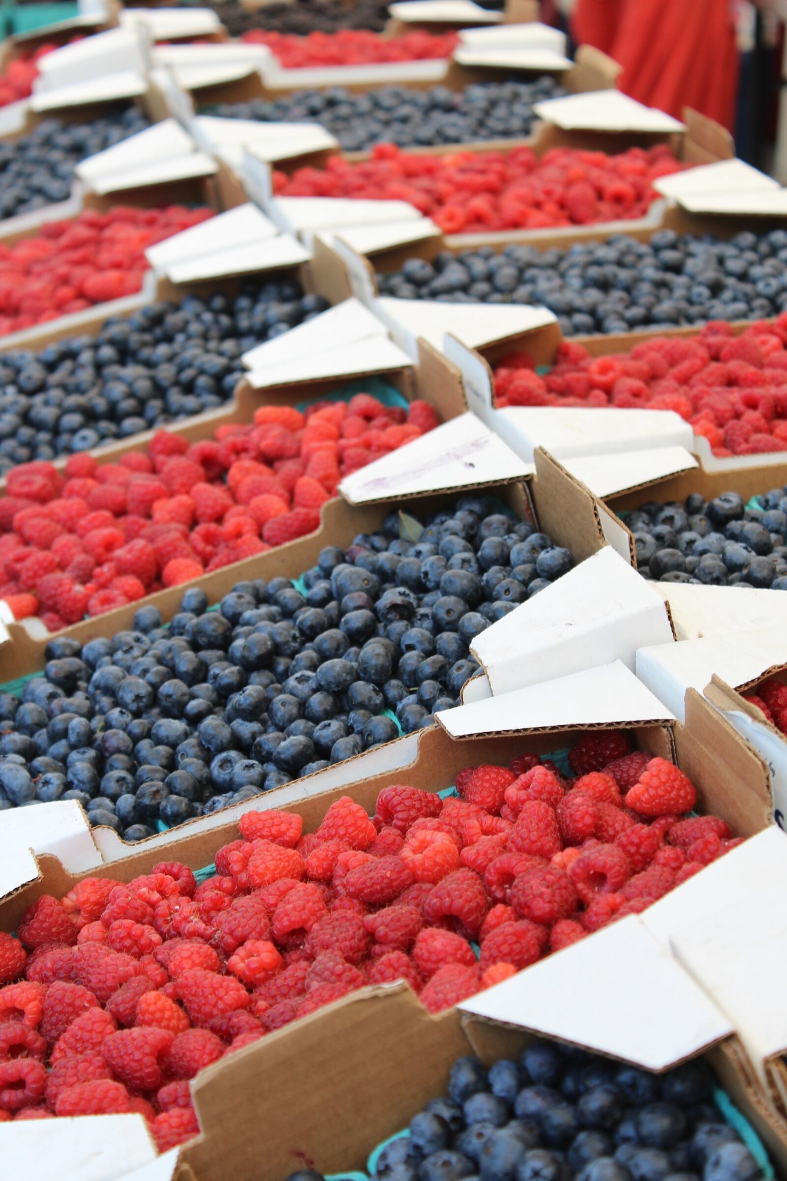 Canon EOS 600D (Rebel EOS T3i / EOS Kiss X5) sample photo. Raspberries, blueberries, berries photography