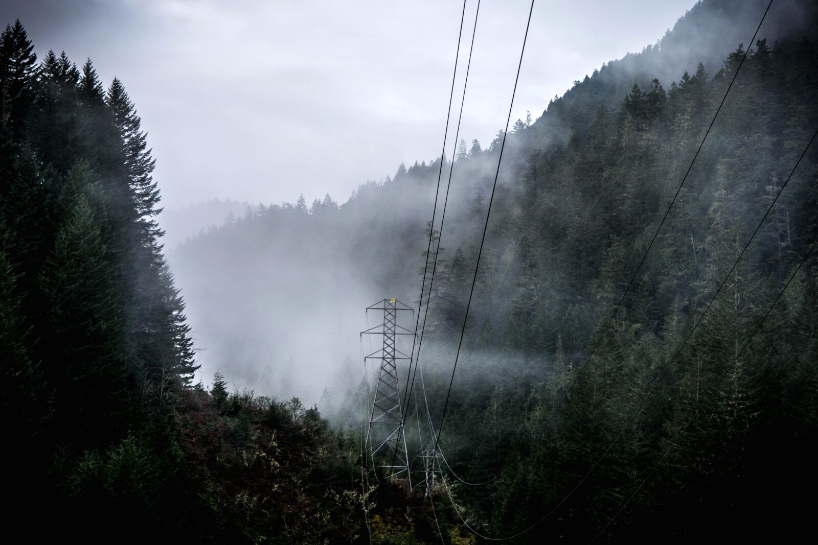 Nikon D5200 sample photo. Power line, electricity, forest photography