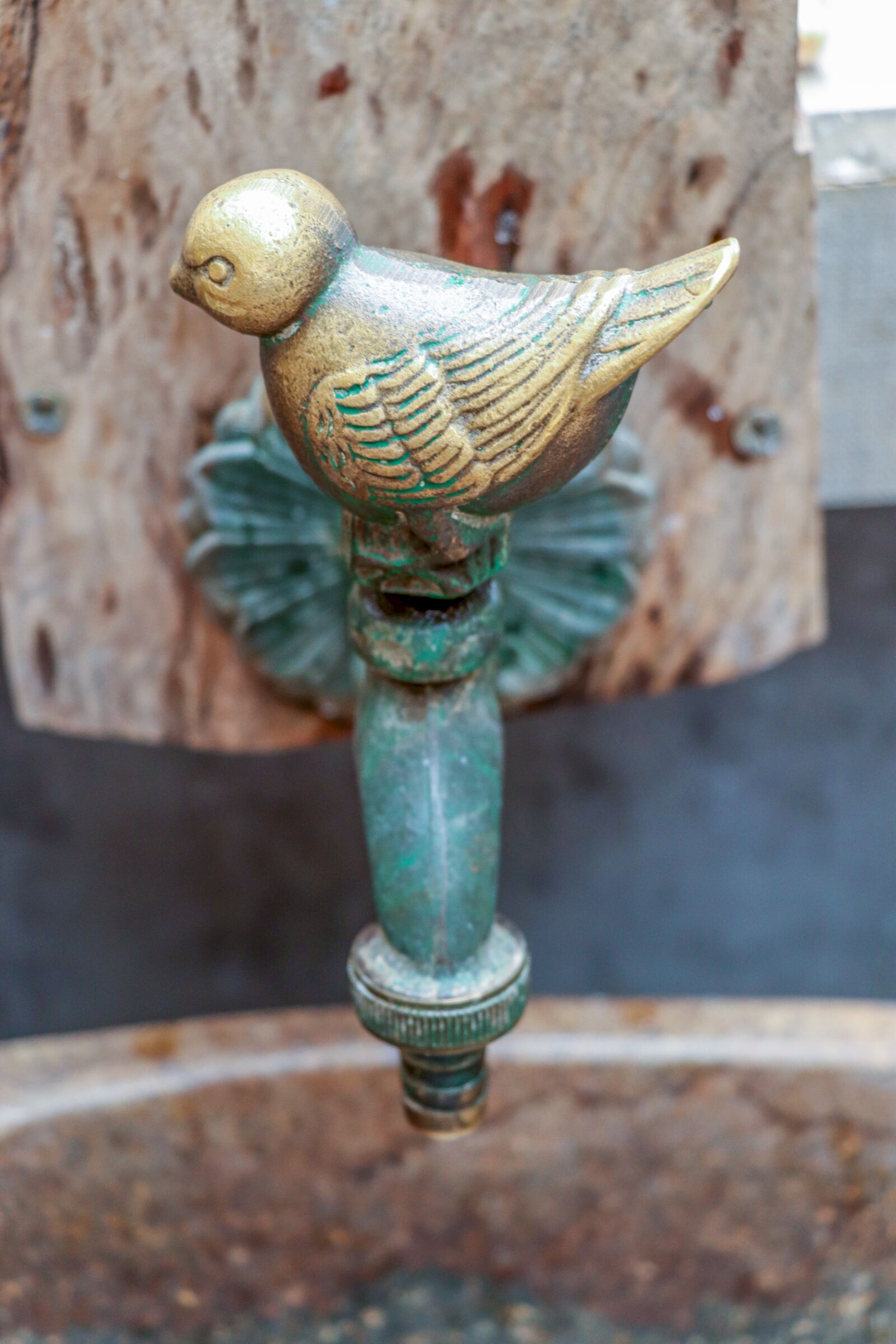 Canon EOS 77D (EOS 9000D / EOS 770D) sample photo. Faucet, metal, antique photography