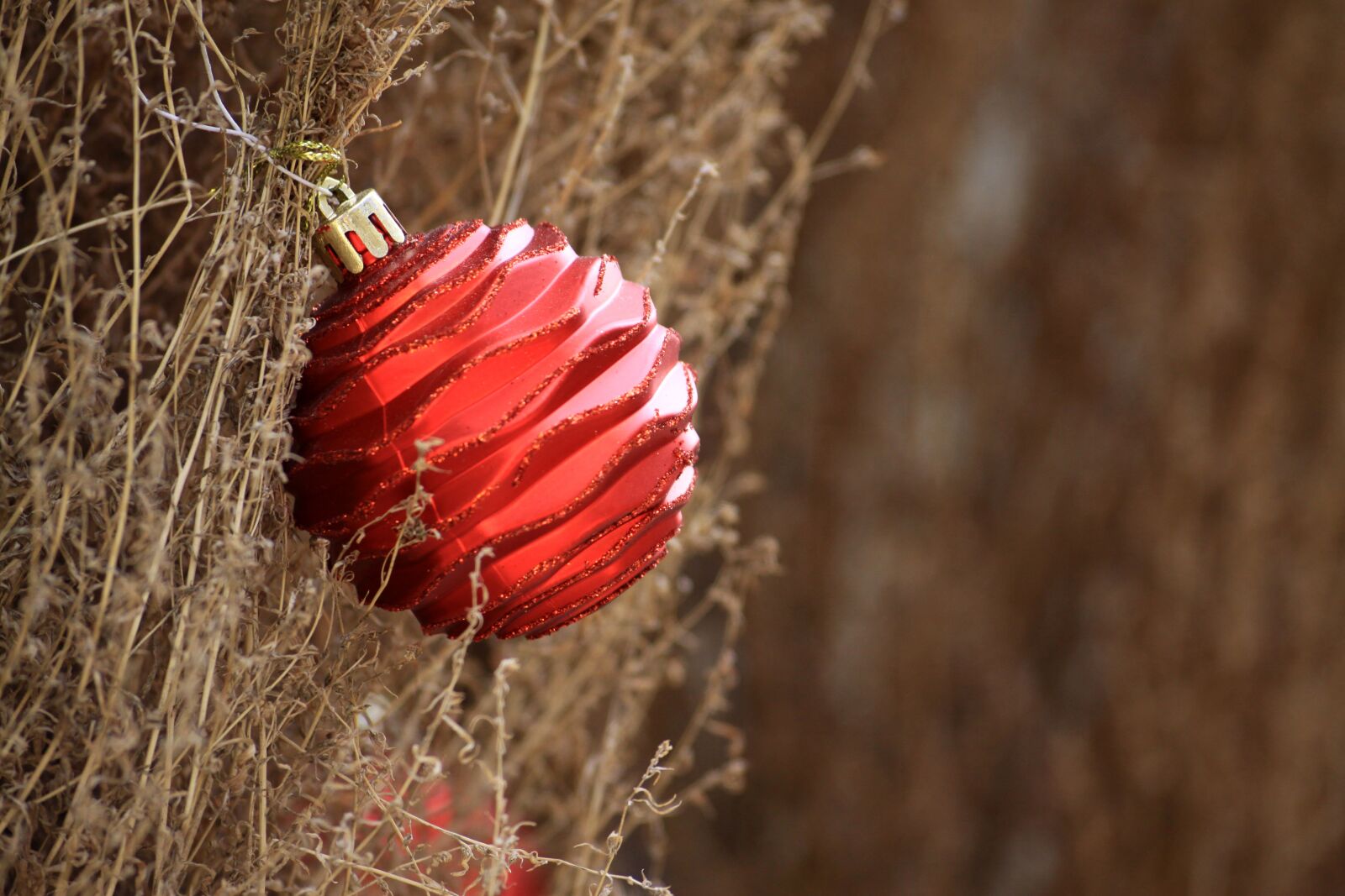 Canon EOS 50D sample photo. Christmas, tree, ornament photography