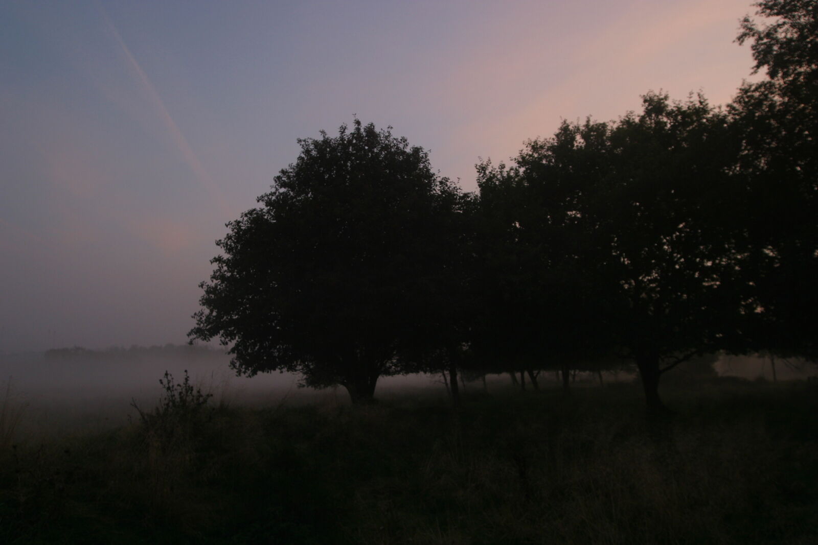 Canon EOS D60 sample photo