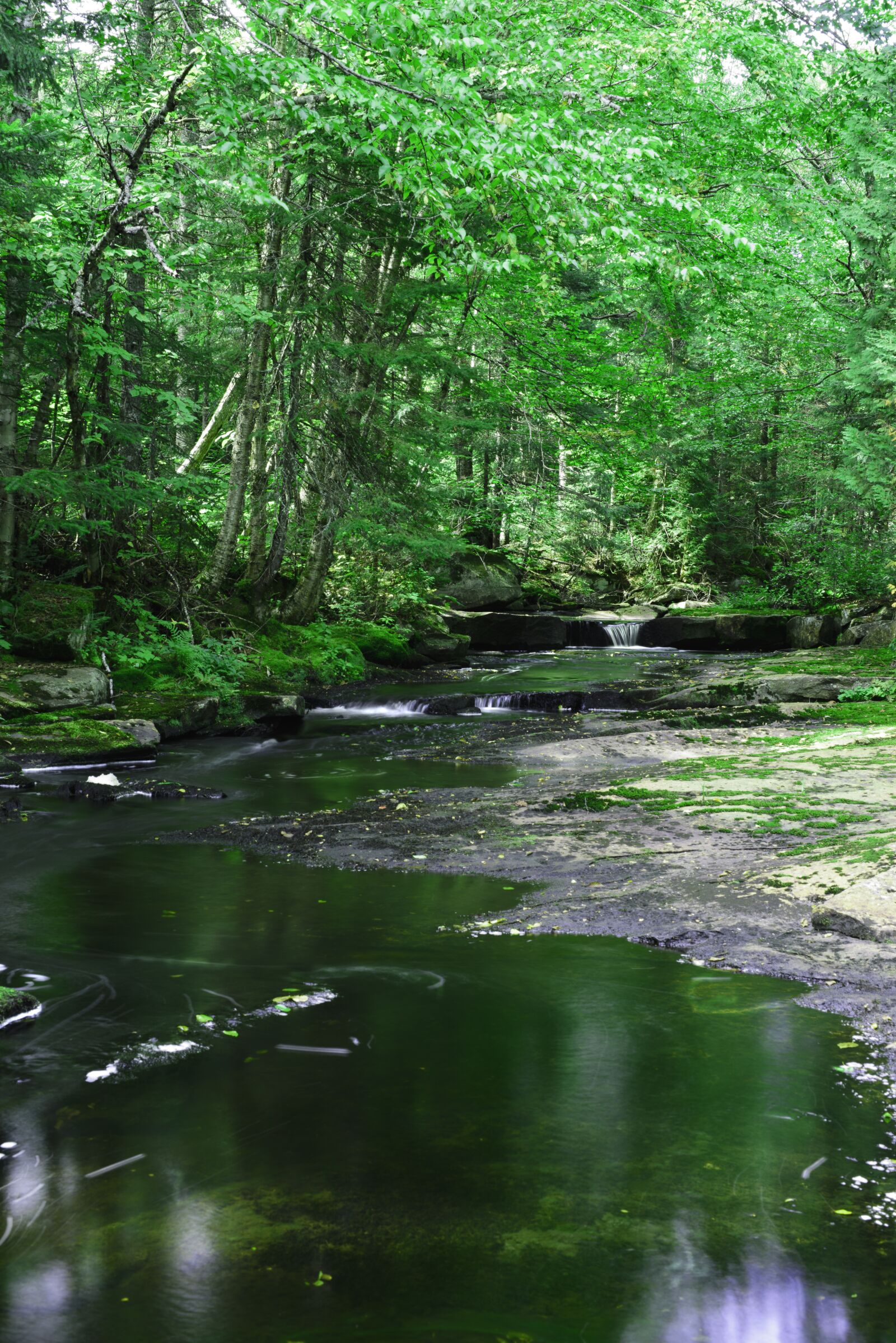 Nikon D810 sample photo. Landscape, fast water, creek photography