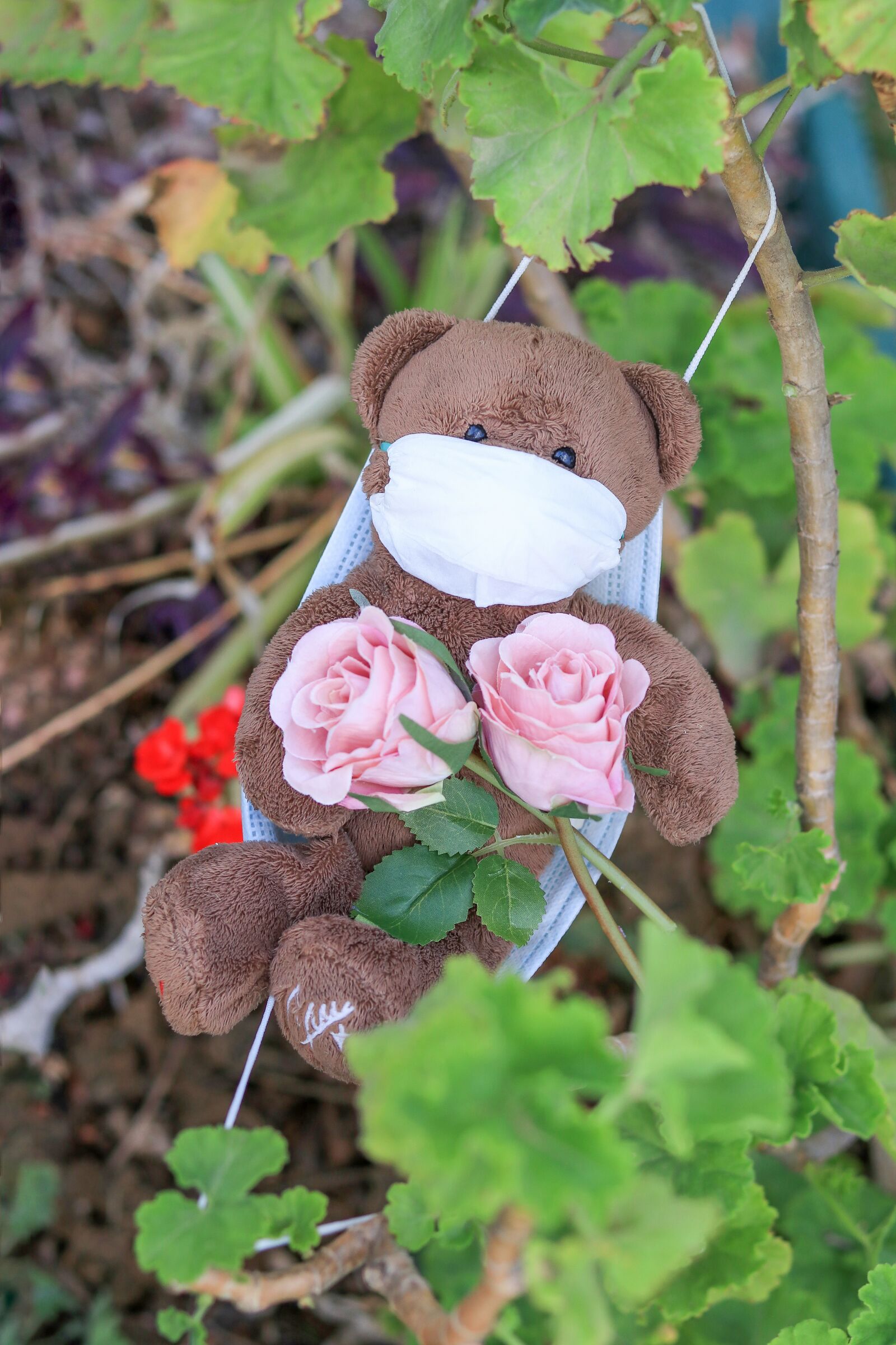 Canon EOS 80D sample photo. Bear, mask, corona photography