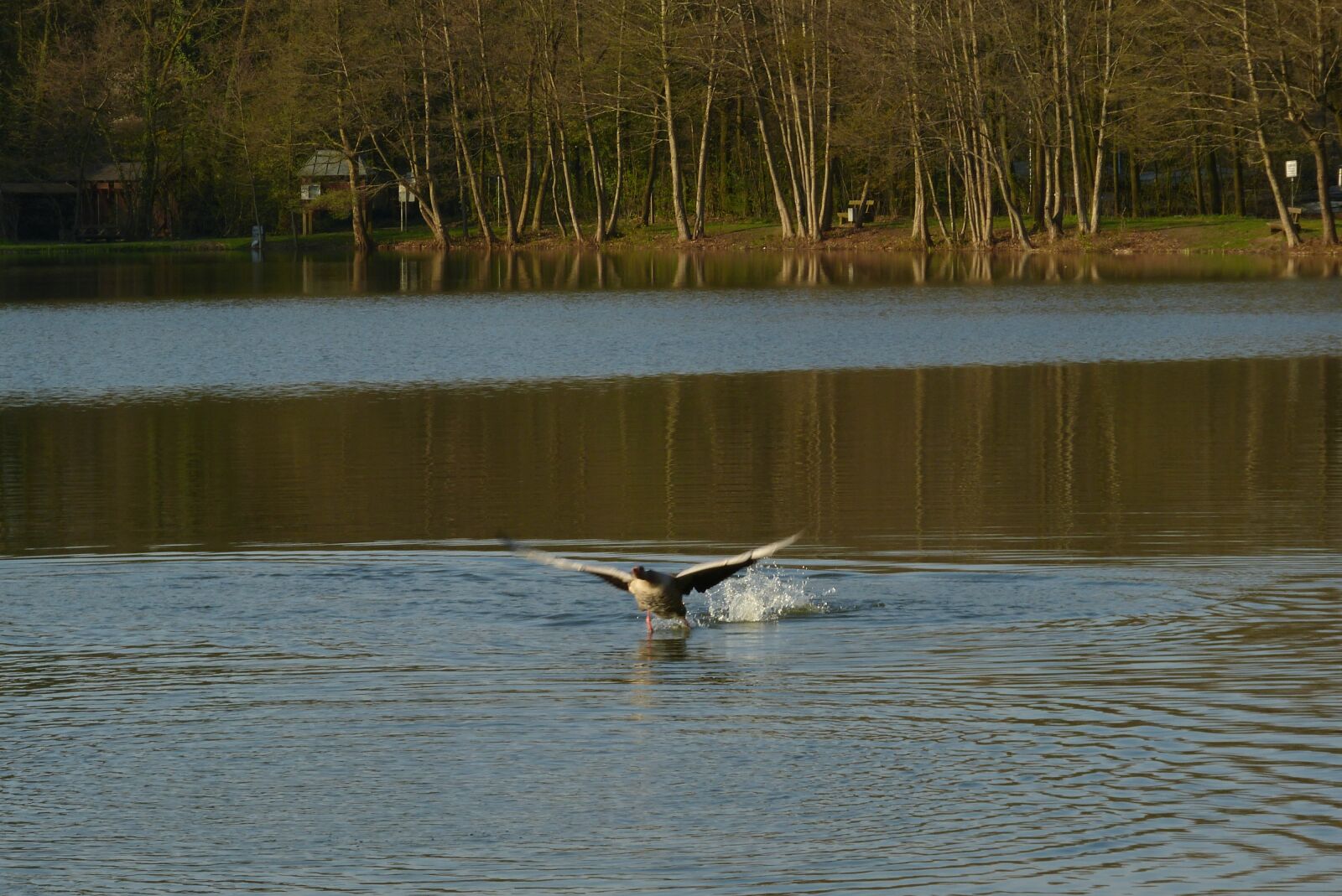 Panasonic Lumix DMC-FZ150 sample photo. Lake, fight, water photography