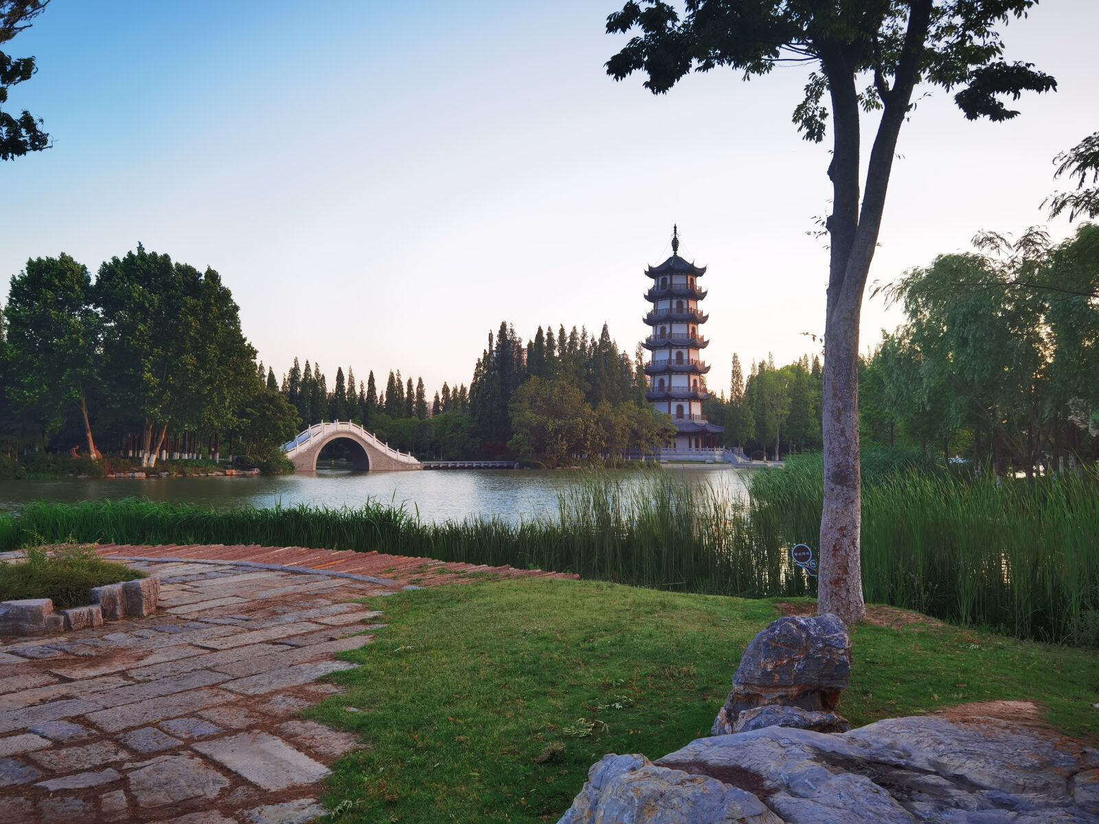 HUAWEI ELS-AN00 sample photo. Tree, bridge, lake photography