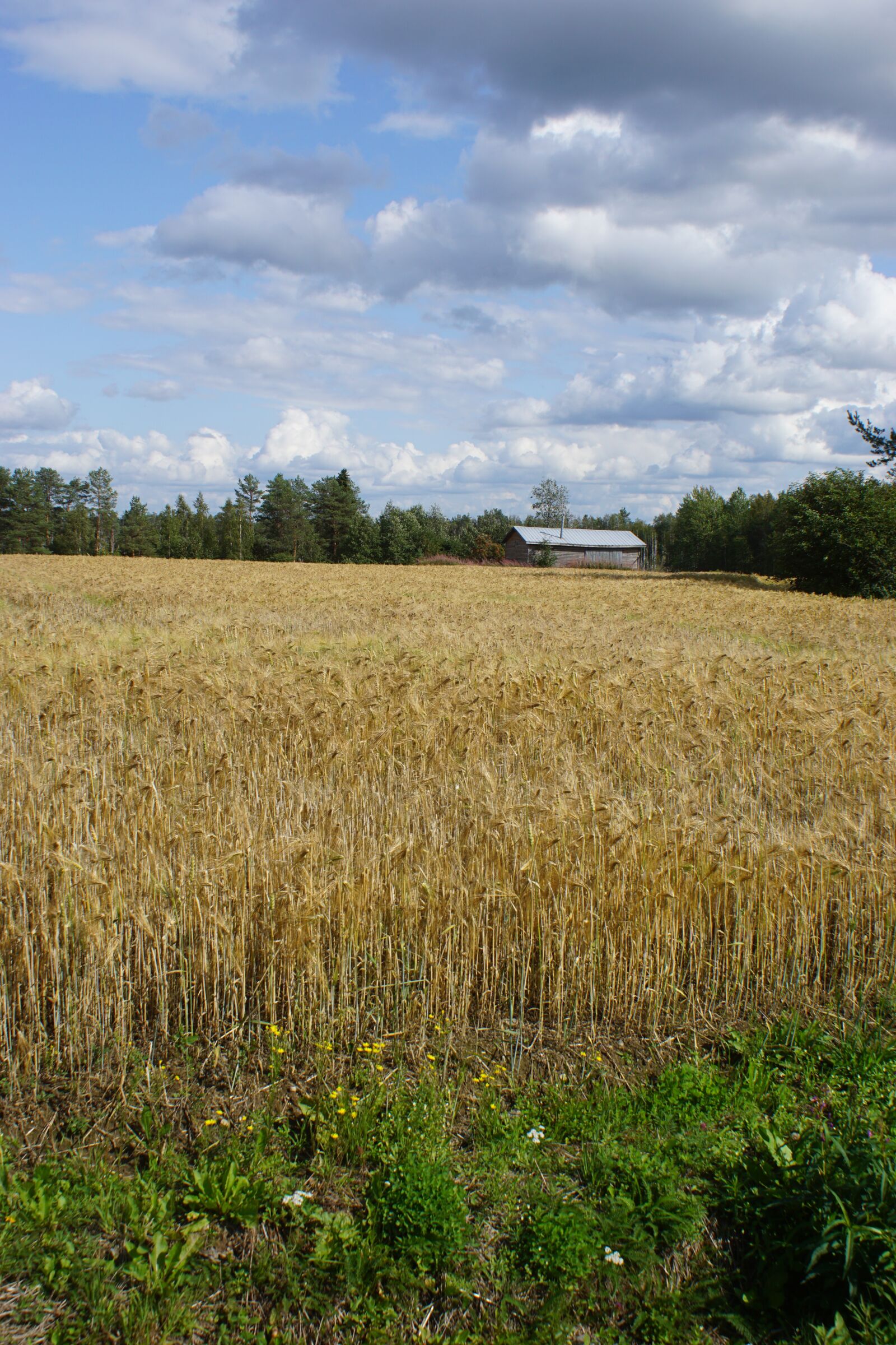 Sony ILCA-77M2 + Sony DT 18-70mm F3.5-5.6 sample photo. Countryside, barn, clouds photography