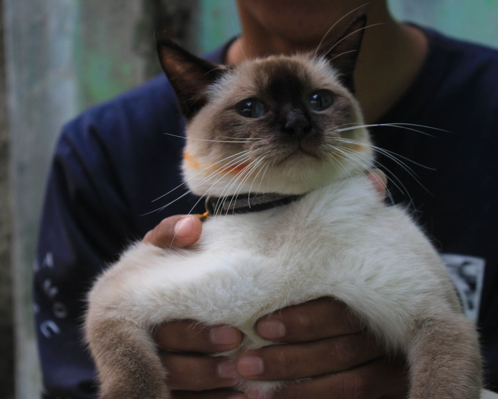 Canon EOS 1200D (EOS Rebel T5 / EOS Kiss X70 / EOS Hi) sample photo. Animal, animal, portrait, baby photography