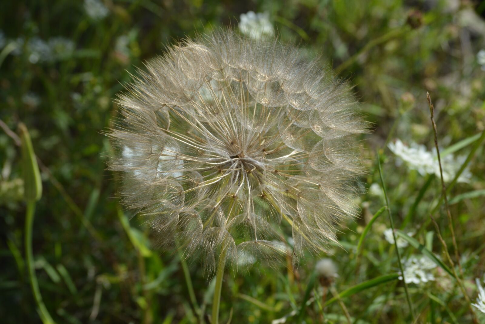 Nikon D3200 sample photo. Sea, croatia, nature photography