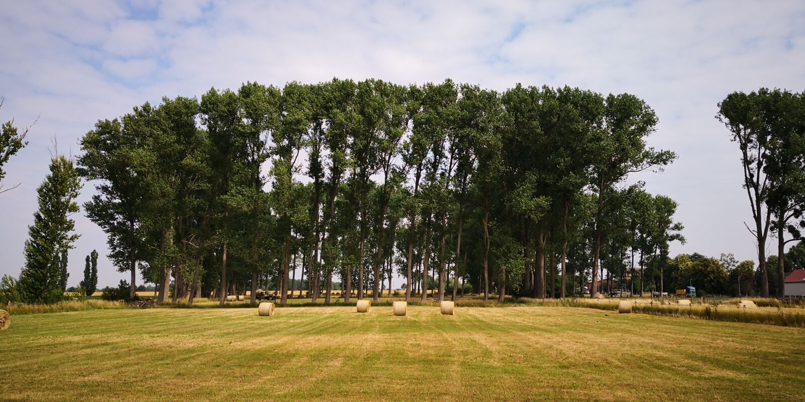HUAWEI Mate 10 Pro sample photo. Forest, field, landscape photography