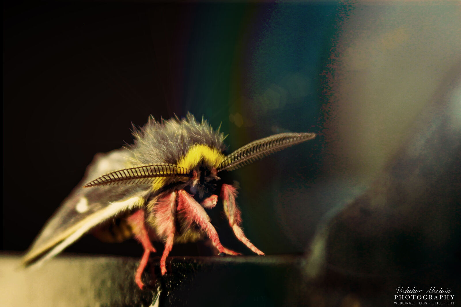 Canon EOS 600D (Rebel EOS T3i / EOS Kiss X5) sample photo. Cuenca photography