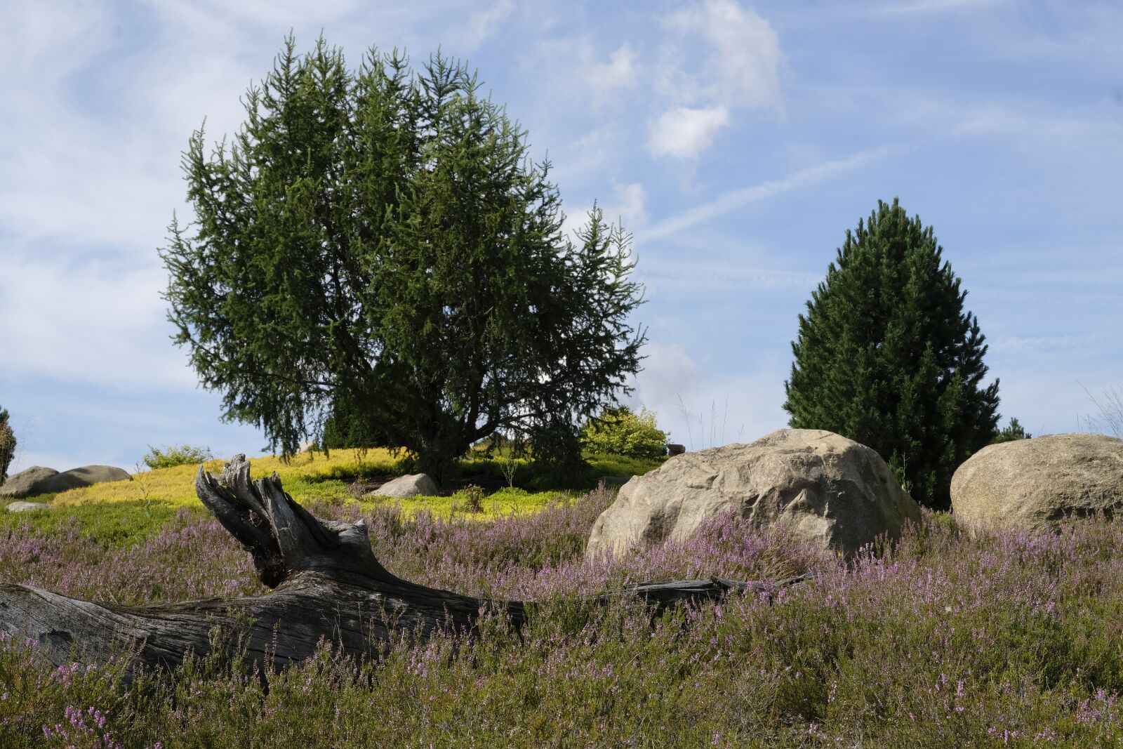 Fujifilm XF 18-55mm F2.8-4 R LM OIS sample photo. Log, meadow, landscape photography