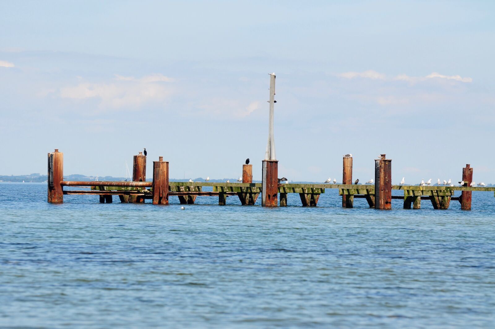 Nikon D90 sample photo. Coast, web, sea photography