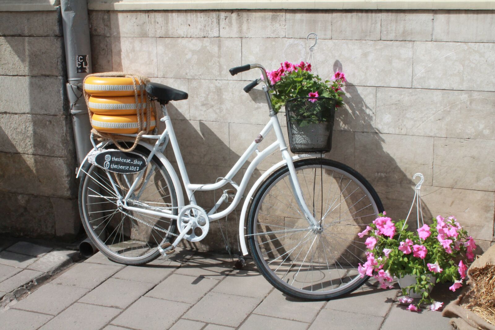 Canon EOS 1100D (EOS Rebel T3 / EOS Kiss X50) sample photo. Bike, flowers, cheese photography