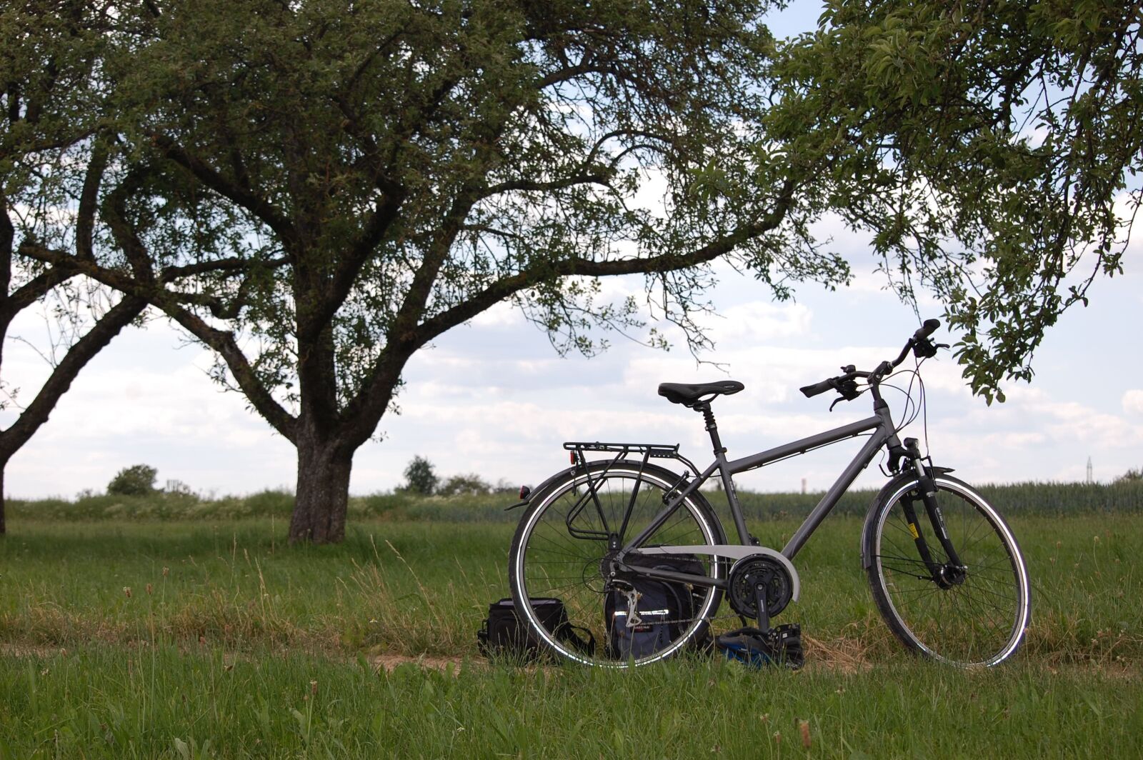 Nikon D40 sample photo. Bike, nature, break photography