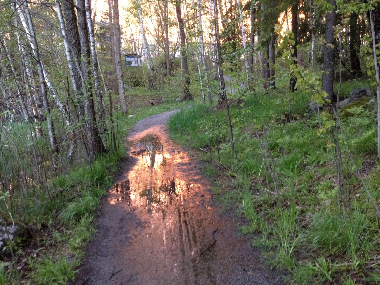 iPhone 4S back camera 4.28mm f/2.4 sample photo. Reflections, sunset, trail, trees photography