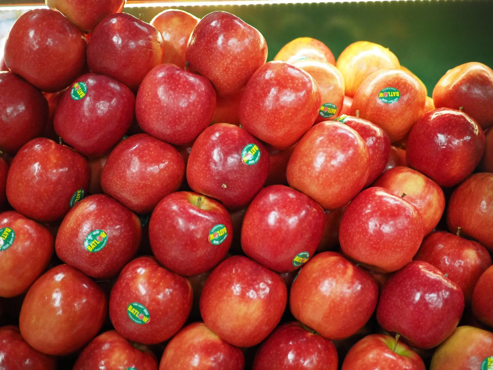 LUMIX G 20/F1.7 II sample photo. Apples, red apples, fresh photography