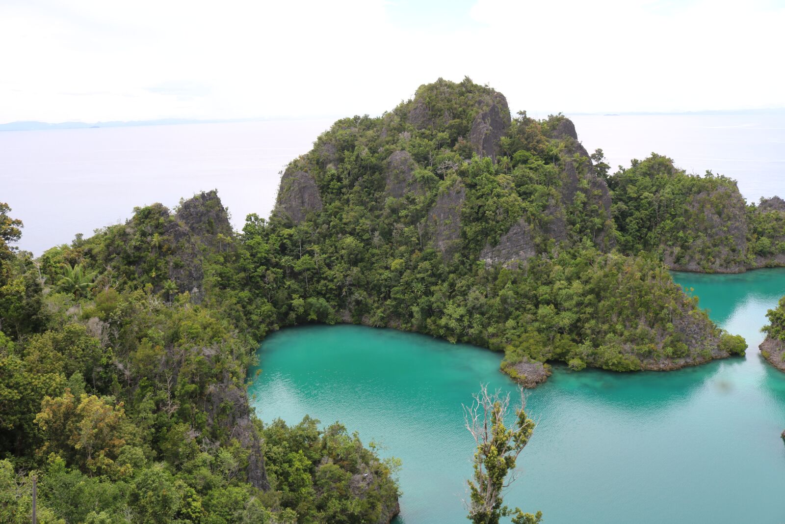 Canon EOS 750D (EOS Rebel T6i / EOS Kiss X8i) sample photo. Cotage, raja ampat, indonesian photography