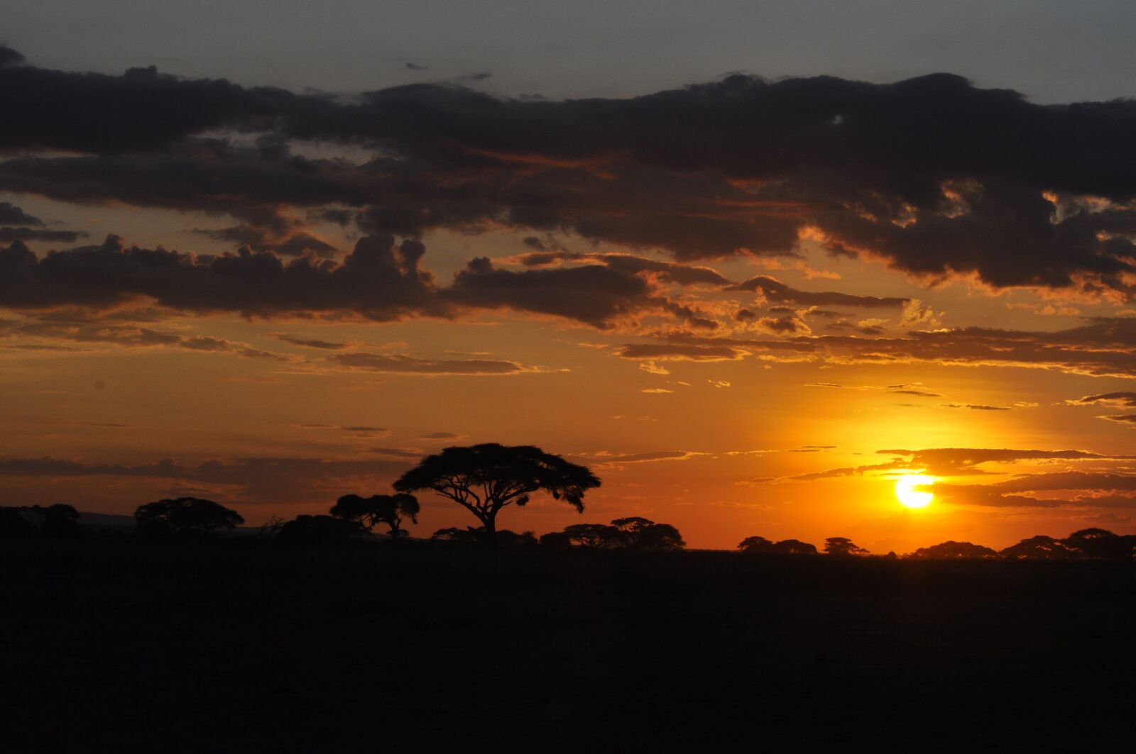 Nikon D90 sample photo. Sunset, kenya, africa photography