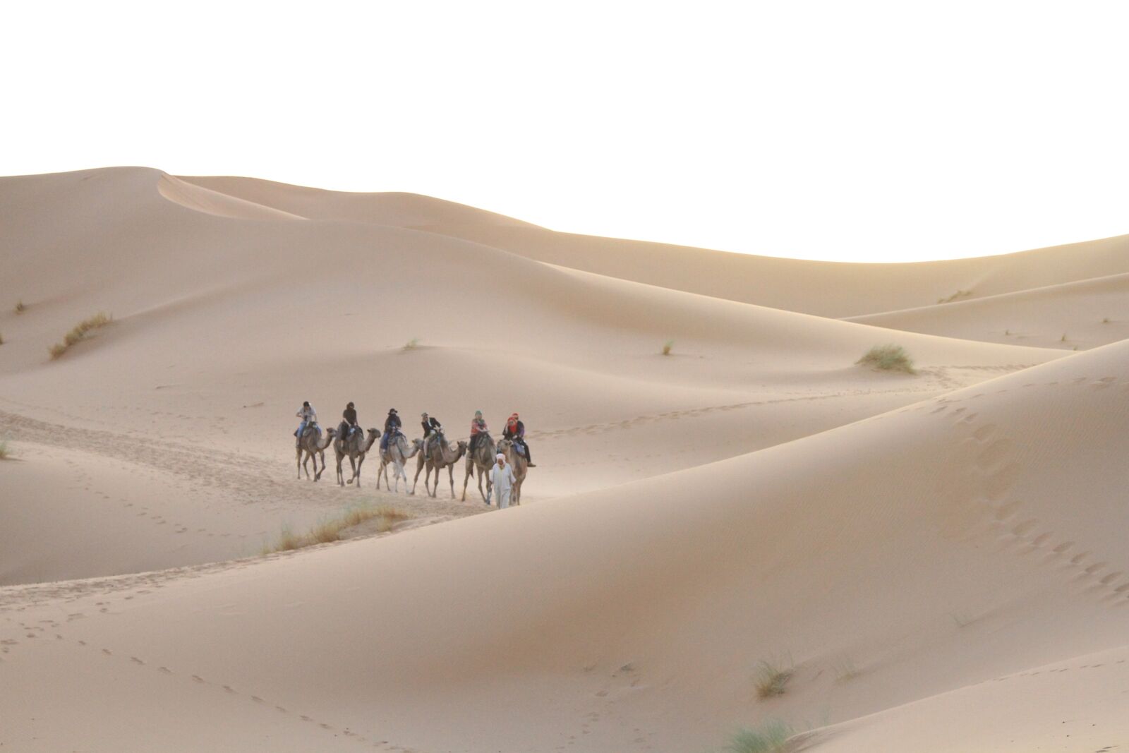 Canon EOS 7D + Canon EF 24-105mm F4L IS USM sample photo. Desert, sahara, moroccan photography
