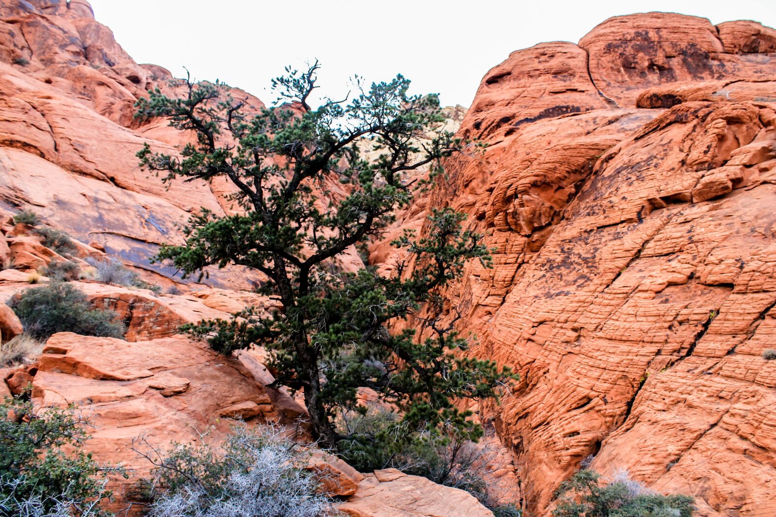 Canon EOS 1100D (EOS Rebel T3 / EOS Kiss X50) sample photo. Utah, red rocks, red photography