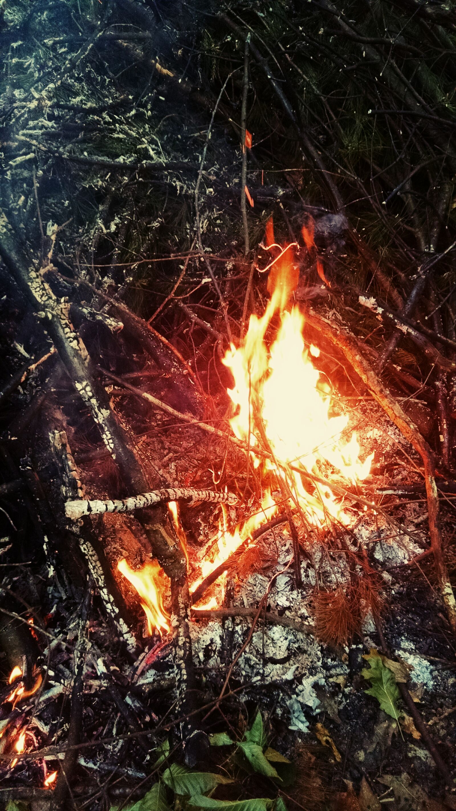 Motorola Moto X (1st Gen) sample photo. Burn, fire, flame photography