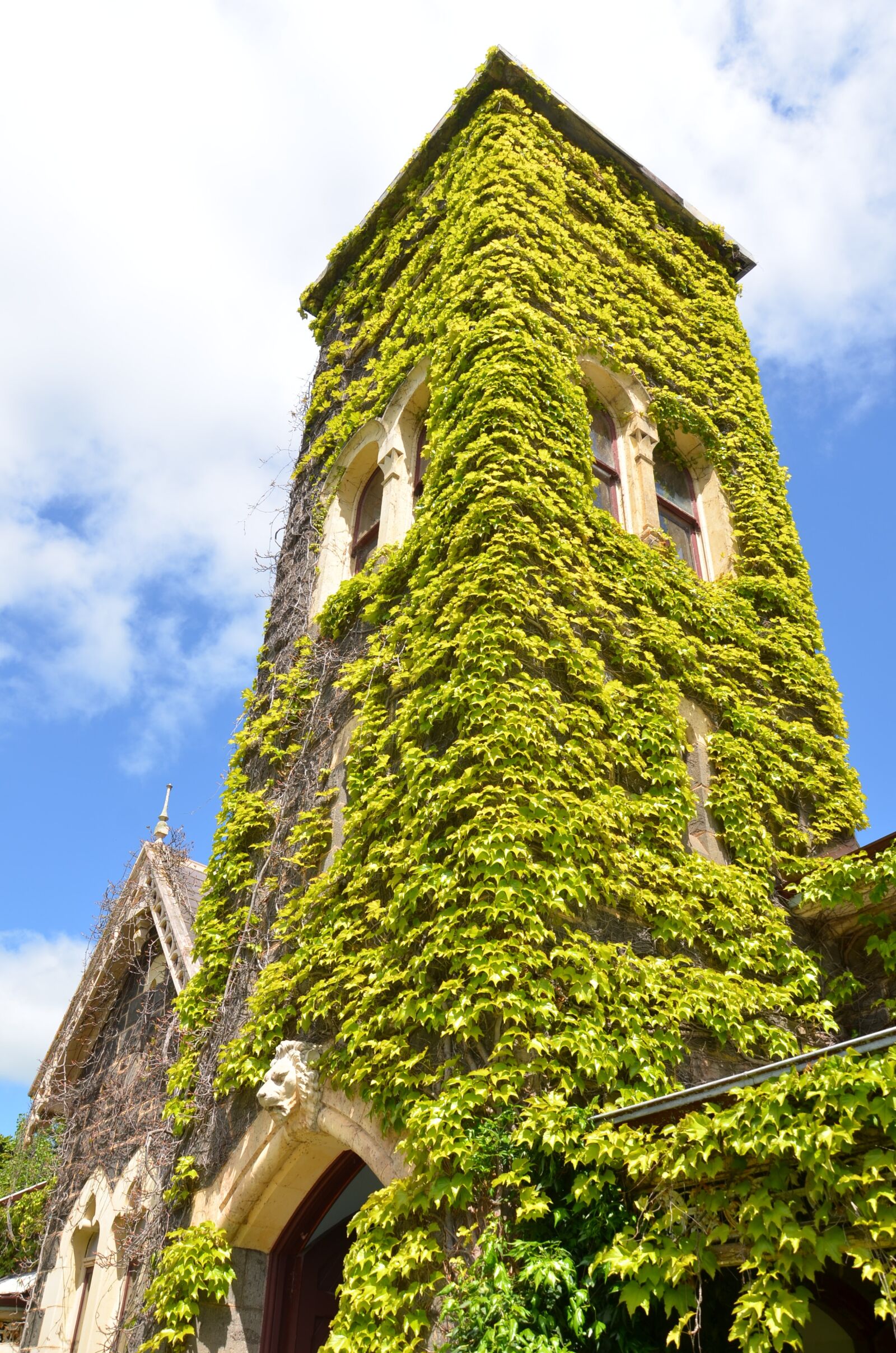 Nikon D7000 sample photo. Gothic, mansion, tower photography