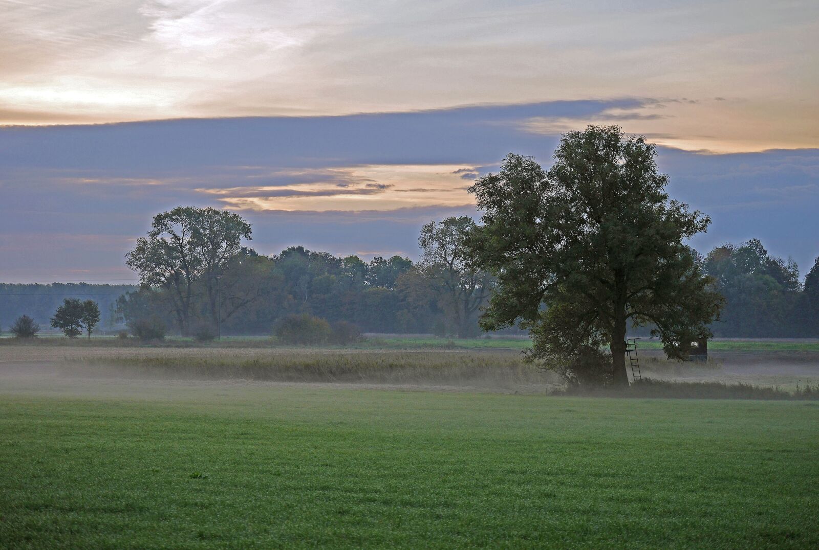 Panasonic Lumix DMC-GH3 sample photo. Ground fog, fog, morning photography